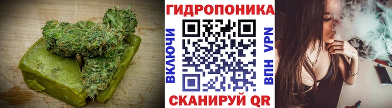 Canna-Cookies конопля  Гай 